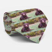 Chocolade Lab Stropdas (Opgerold)