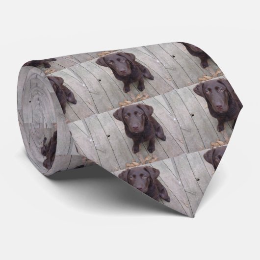 Chocolade Lab Stropdas (Opgerold)