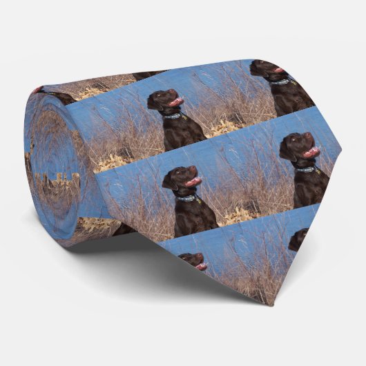 Chocolade Lab Stropdas (Opgerold)