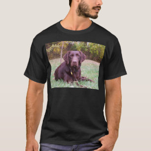 Chocolade Lab T-shirt
