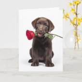Chocolade Lab Valentijn Kaart (Gele Bloem)