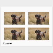 Chocolade Lab Vol Likken Rechthoekige Sticker (Vel)