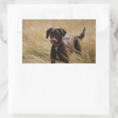 Chocolade Lab Vol Likken Rechthoekige Sticker (Tas)