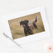 Chocolade Lab Vol Likken Rechthoekige Sticker (Envelop)