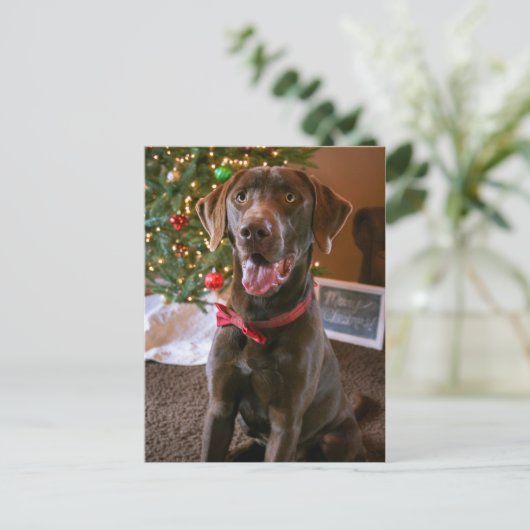 Chocolade Lab Vrolijk Kerst Briefkaart (Staand voorkant)