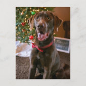 Chocolade Lab Vrolijk Kerst Briefkaart (Voorkant)