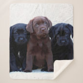 Chocolade Lab - zwarte labrador Puppies Sherpa Deken (Voorkant)