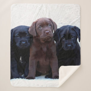 Chocolade Lab - zwarte labrador Puppies Sherpa Deken