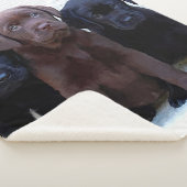 Chocolade Lab - zwarte labrador Puppies Sherpa Deken (3/4)