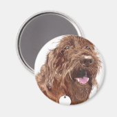 Chocolade Labradoodle #1 magneet (Voorkant / Achterkant)