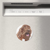 Chocolade Labradoodle #1 magneet (Insitu (Vaatwasser))