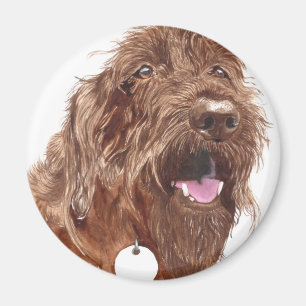 Chocolade Labradoodle #1 Magnet