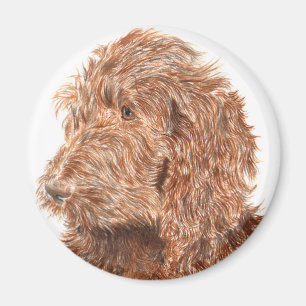 Chocolade Labradoodle #2 magneet