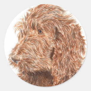 Chocolade Labradoodle #2 ronde Stickers