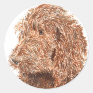 Chocolade Labradoodle #2 ronde Stickers