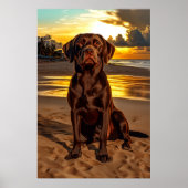 Chocolade Labrador bij zonsondergang Poster (Voorkant)