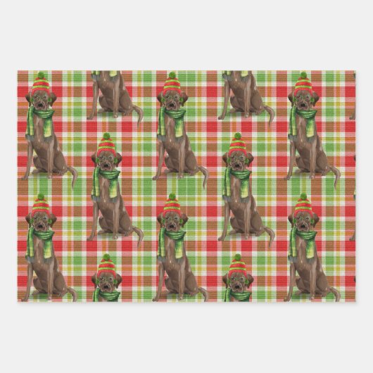 Chocolade Labrador Christmas Dog Plaid Inpakpapier Vel (Voorkant 3)