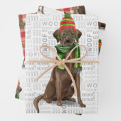 Chocolade Labrador Christmas Dog Plaid Inpakpapier Vel (In situ)