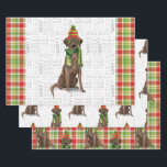 Chocolade Labrador Christmas Dog Plaid Inpakpapier Vel<br><div class="desc">Deze schattige Chocolate Labrador Retriever is klaar voor het vakantieseizoen een winterse pet en sjaal,  waardoor deze hond een echte fashionista is. Deze schattige kersthond is gecombineerd met een geruite print in tinten rood en groen op deze set cadeauverpakking voor het hondenliefhebber.</div>