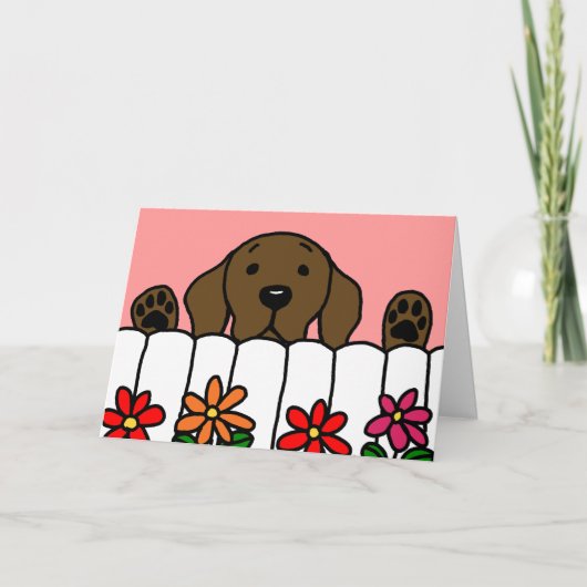 Chocolade Labrador die je in de gaten houdt Bedankkaart (Voorkant)