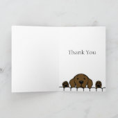 Chocolade Labrador die je in de gaten houdt Bedankkaart (Binnen)