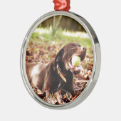 Chocolade Labrador die met een bal speelt Metalen Ornament (Links)