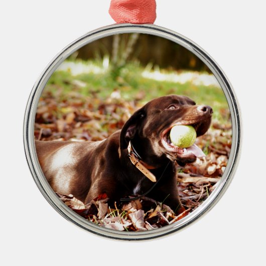 Chocolade Labrador die met een bal speelt Metalen Ornament (Voorkant)