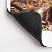 Chocolade Labrador die met een bal speelt Muismat (Hoek)