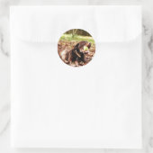 Chocolade Labrador die met een bal speelt Ronde Sticker (Tas)