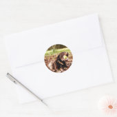 Chocolade Labrador die met een bal speelt Ronde Sticker (Envelop)