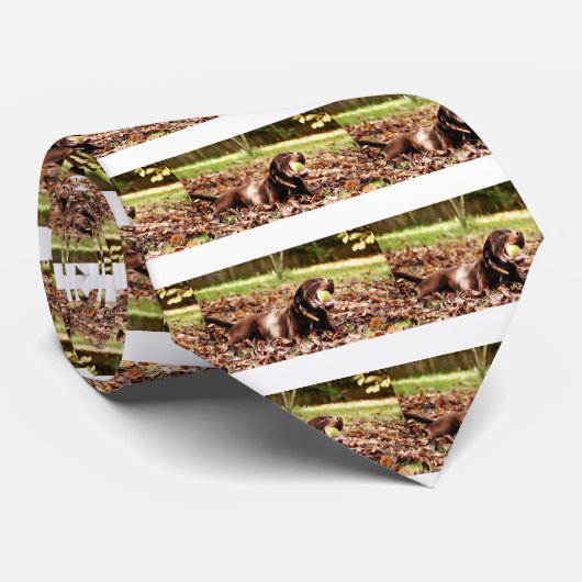Chocolade Labrador die met een bal speelt Stropdas (Opgerold)