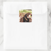 Chocolade Labrador die met een bal speelt Vierkante Sticker (Tas)
