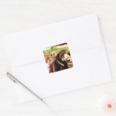 Chocolade Labrador die met een bal speelt Vierkante Sticker (Envelop)