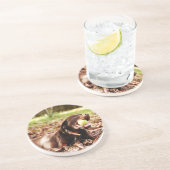 Chocolade Labrador die met een bal speelt Zandsteen Onderzetter (Zijkant)