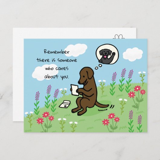 Chocolade labrador en brief iemand geeft om briefkaart (Voorkant / Achterkant)