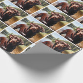 Chocolade Labrador en Lake Cadeaupapier (Hoek)