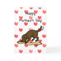 Chocolade Labrador en Stocking Moederdag