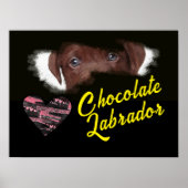 Chocolade Labrador Eyes Solid Color Poster (Voorkant)