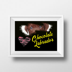Chocolade Labrador Eyes Solid Color Poster