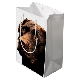 Chocolade labrador gift medium cadeauzakje