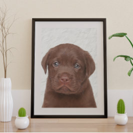 Chocolade Labrador Glossy Poster