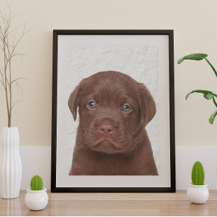 Chocolade Labrador Glossy Poster