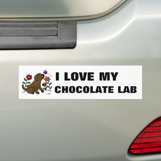 Chocolade Labrador & Green Bumpersticker (Op auto)
