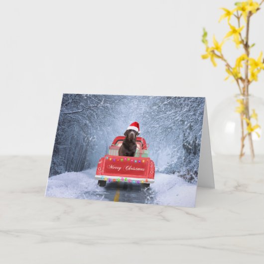 Chocolade Labrador hond in de sneeuw zittend met K Kaart (Gele Bloem)