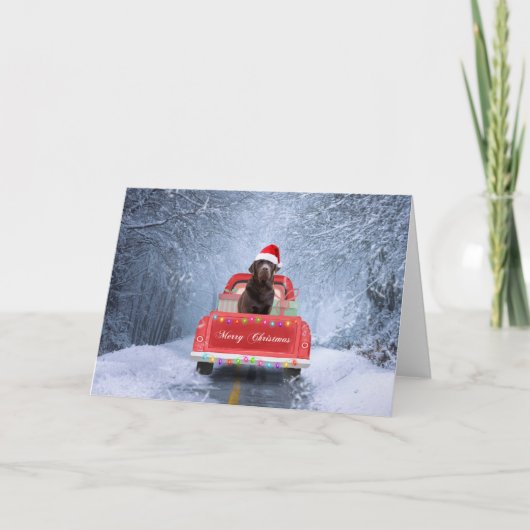 Chocolade Labrador hond in de sneeuw zittend met K Kaart (Voorkant)