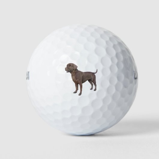 Chocolade Labrador Hond Staande Golfballen (Voorkant)