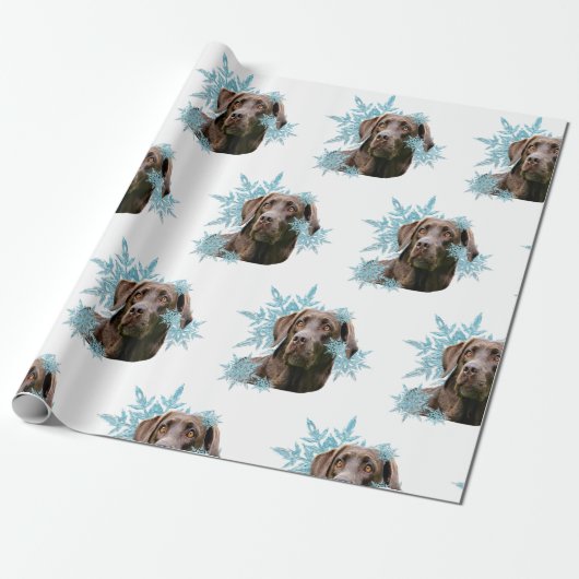 Chocolade Labrador in de sneeuwvlokken Cadeaupapier (Uitgerold)
