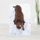 Chocolade Labrador in Sneeuw Feestdagen Kaart (Voorkant)