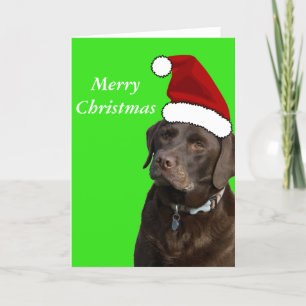 Chocolade Labrador-kerstkaart Feestdagen Kaart