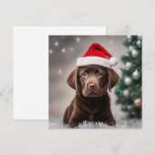 Chocolade Labrador Kerstmis (Voorkant / Achterkant)